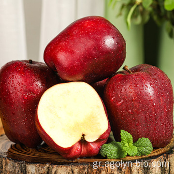 Gansu προέλευση χαμηλότερη τιμή huaniu μήλο